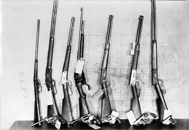 rifles and handguns from IWW - Evidence Presented at the Trial