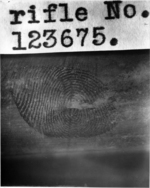 fingerprint - Evidence Presented at the Trial