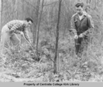 Planting New Trees