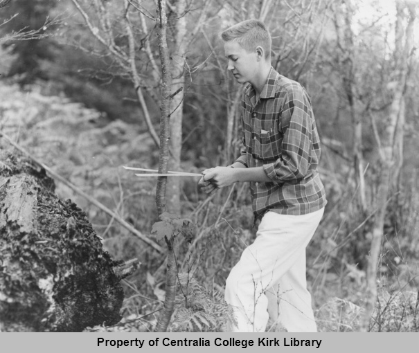 Determining the Age of a Tree